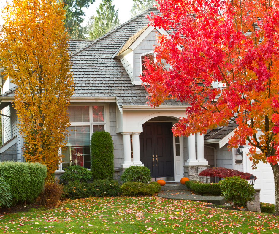 A Guide for Fall Lawn Care in North Texas