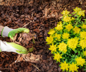 Fallas Flower bed mulch