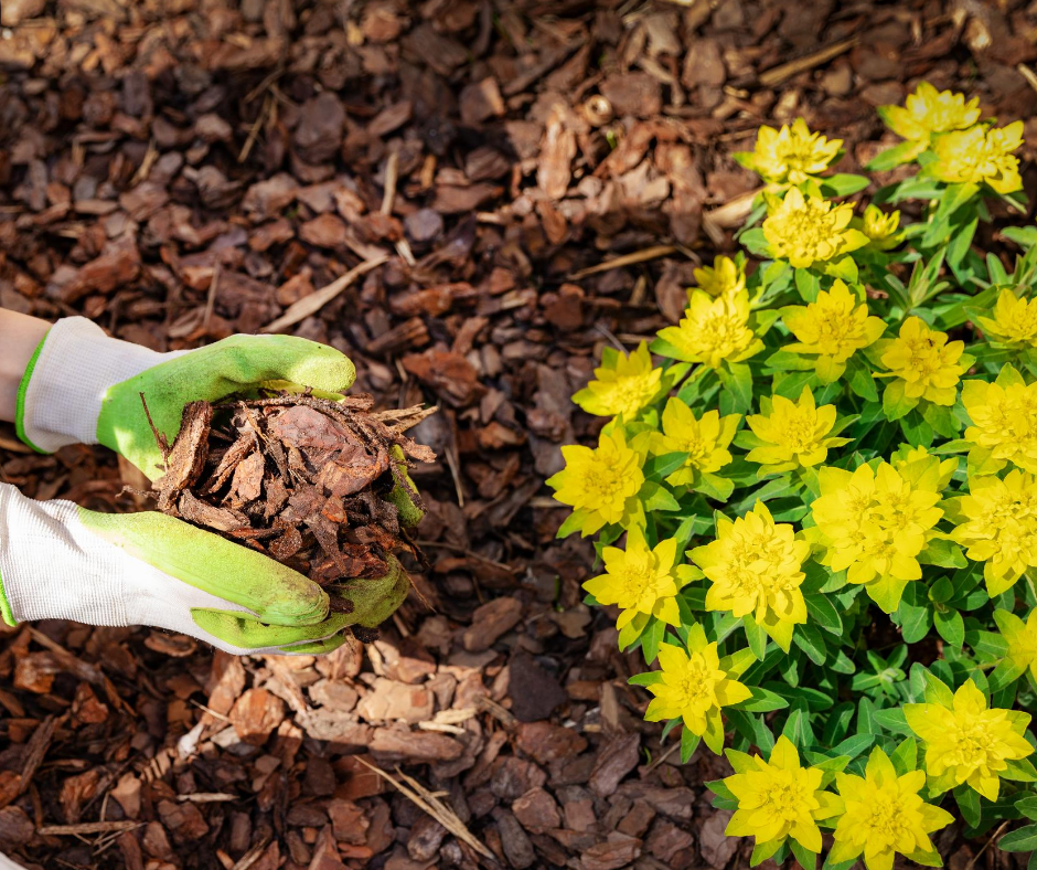 The Benefits of Mulch