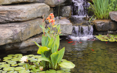 Are You Thinking About Investing In Water Features?
