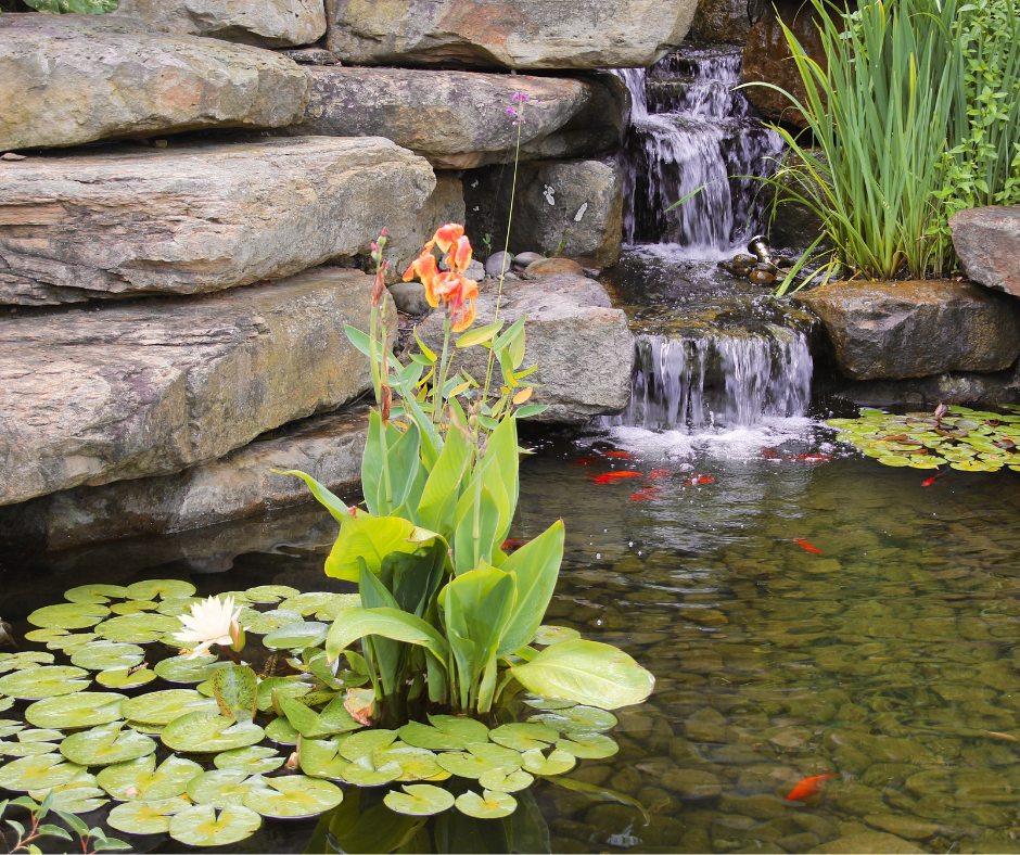 Are You Thinking About Investing In Water Features?