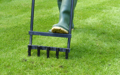 How To Prepare Your Lawn for Spring