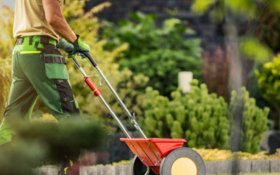 March Madness for Your Lawn: Fertilizing Tips for North Texas Homeowners