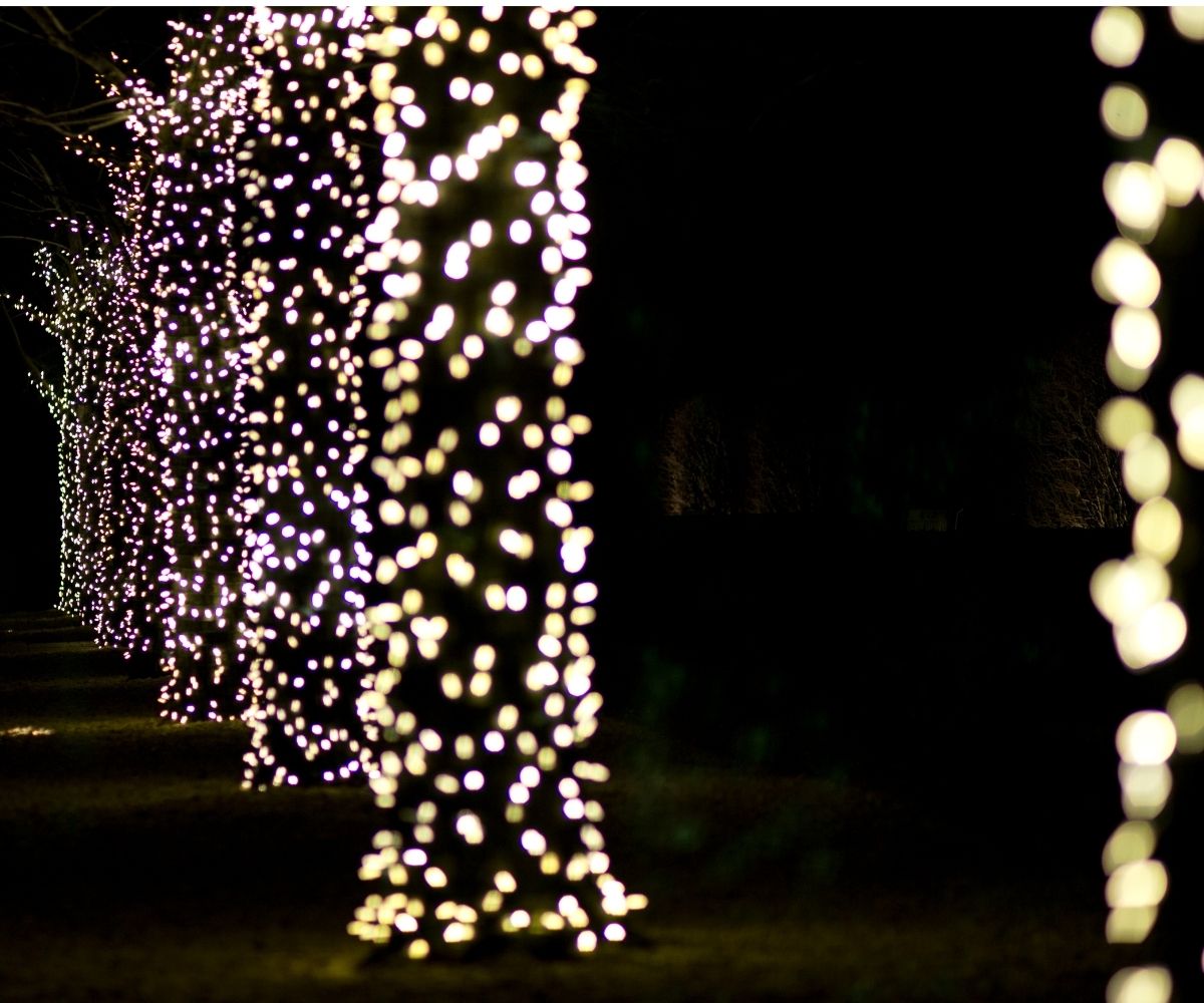 Outdoor String Lights Not Just for Holidays