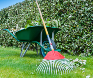 Fallas Landscape Spring Lawn Care