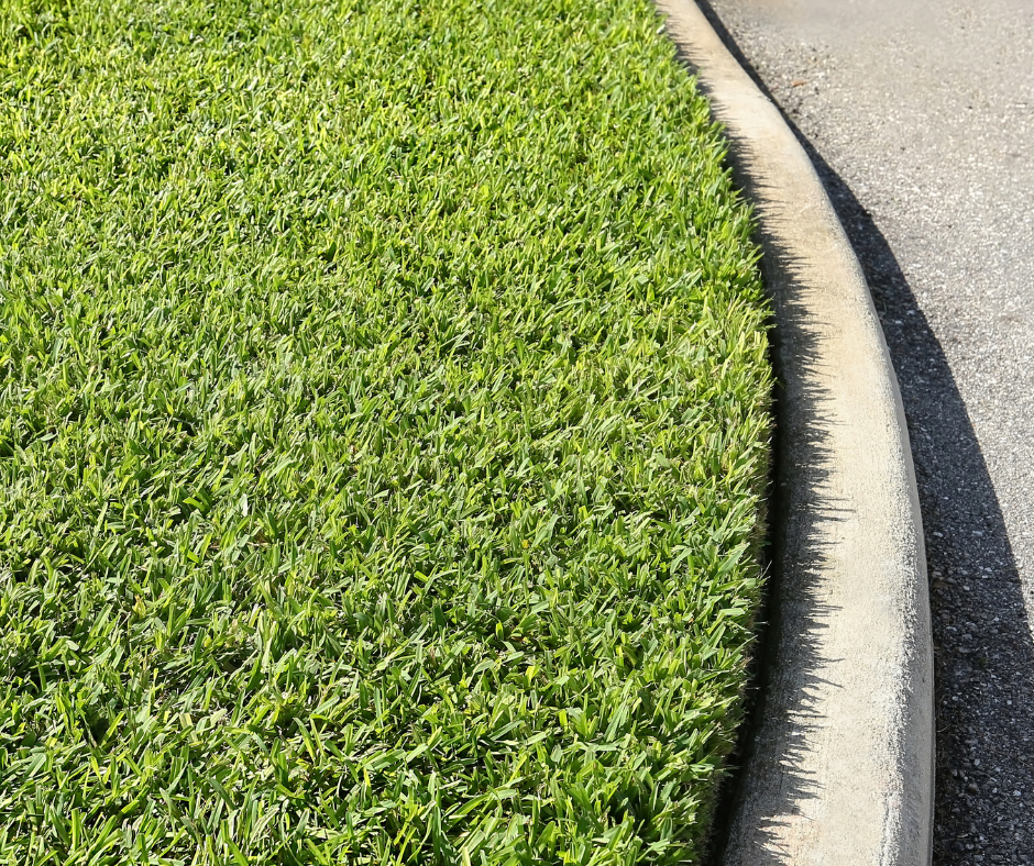 Fallas Landscape St. Augustine grass