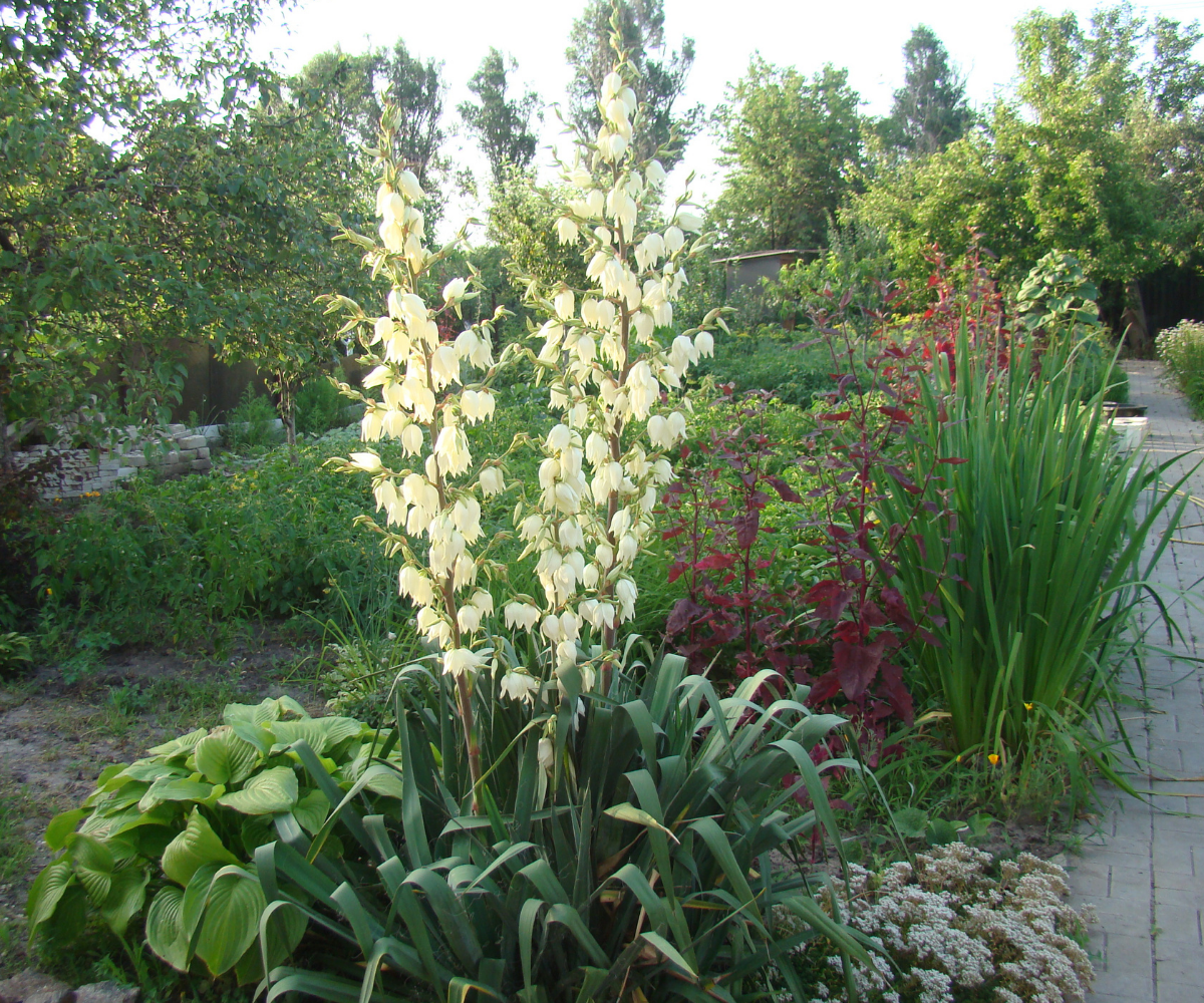 7 Low-Maintenance Landscaping Ideas for Summer in North Texas