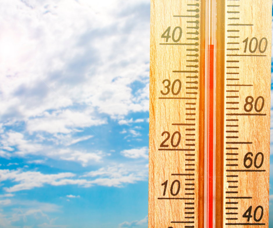 Survive The Texas Heat With These Mid-Summer Landscaping Tips