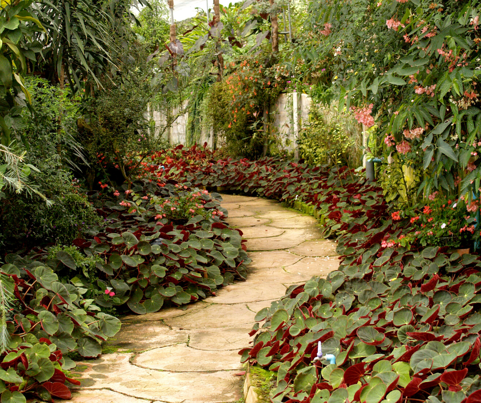 Is Winter The Best Time To Trim Trees & Shrubs?