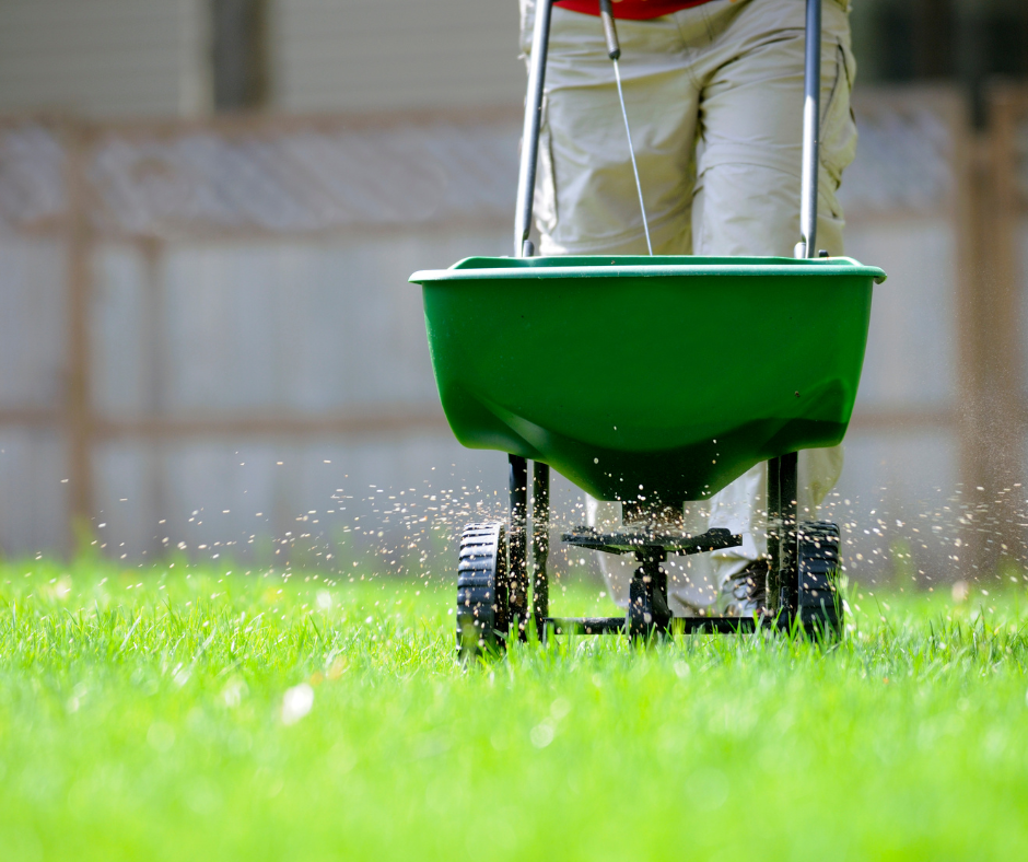 How To Fertilize Your Lawn For Fall Landscape Design Fallas