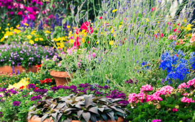 Adding Container Gardening to Your Landscape