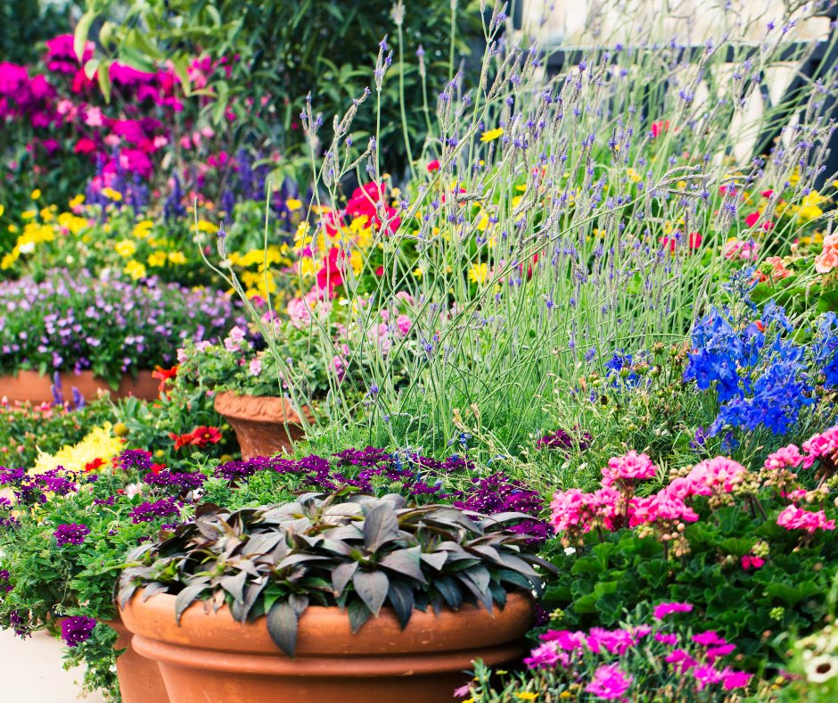 Adding Container Gardening to Your Landscape