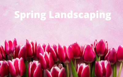 4 Spring Landscaping Ideas In Texas