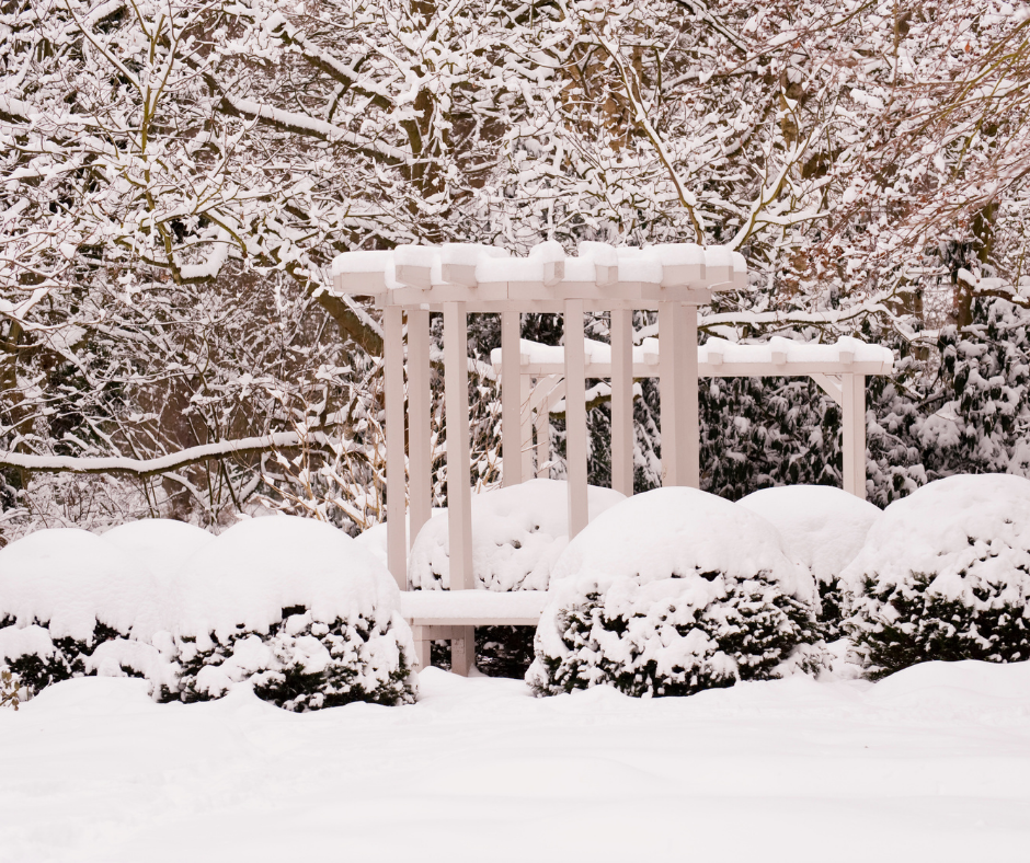 How To Protect Outdoor Plants During Winter Landscape Design Fallas