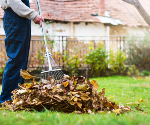 Fallas fall landscaping