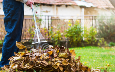 Fall Landscaping Do’s and Don’ts