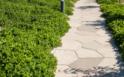 7 Types of Walkways for Your Landscape Design