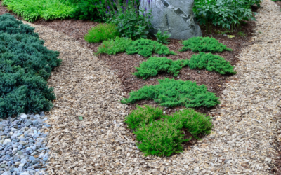 Which Is Best for Your Landscape? Mulch vs. Soil vs. Decorative Rock