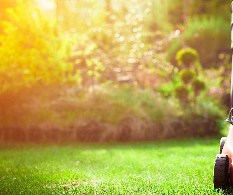 7-tips-for-late-summer-lawn-care-landscape-design-fallas-landscape