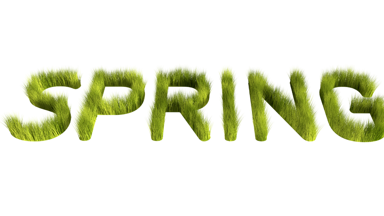 How to Prepare Your Lawn for Spring