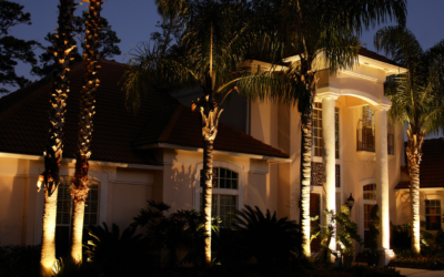 Landscaping Uplighting Vs. Downlighting