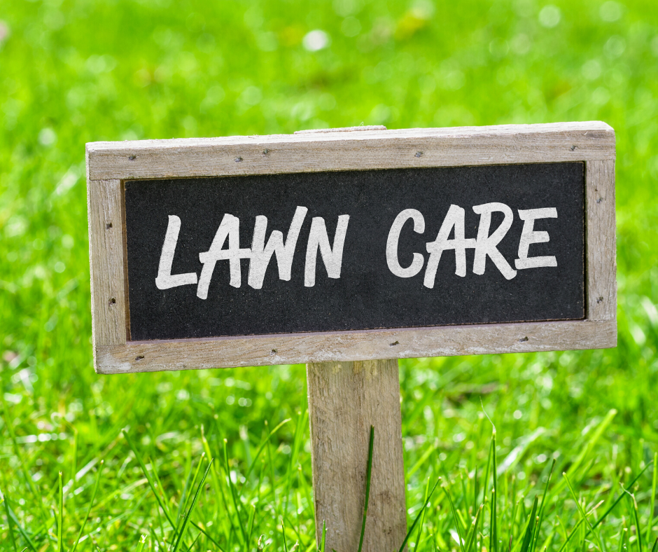 Spring Lawn Care