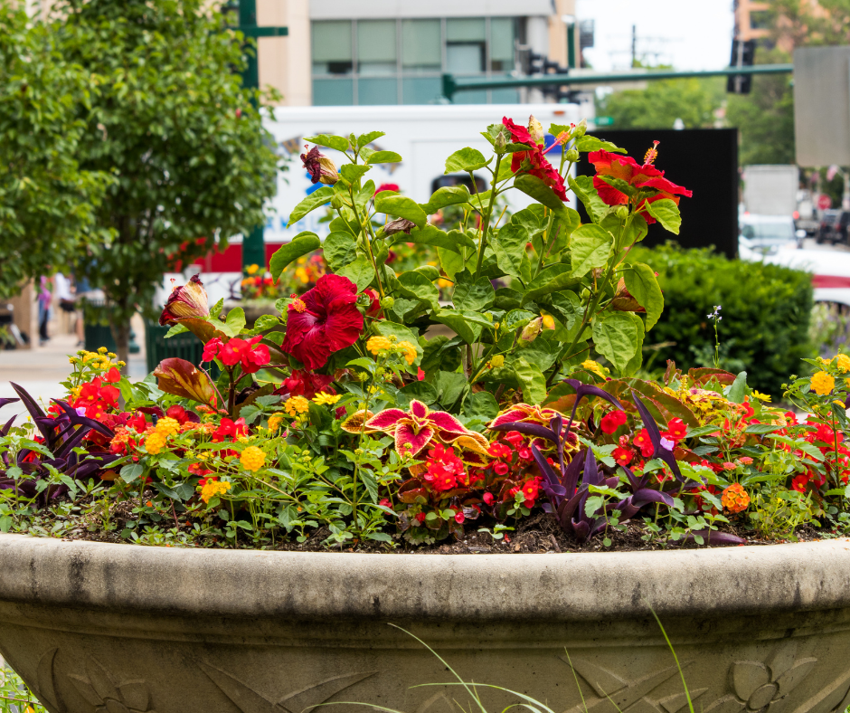 How To Use Accent Planters to Beautify Your Landscape - Landscape ...