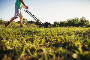 Lawn mower image