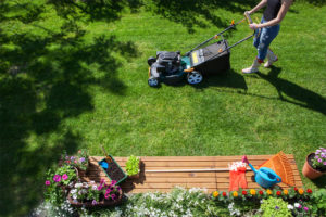 Lawn mowing image