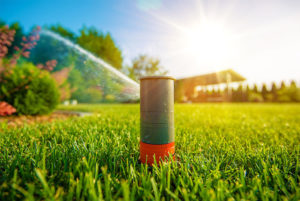 lawn sprinkler image