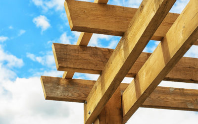 Knowing Your Landscaping Architecture: A Pergola, an Arbor, or a Trellis?