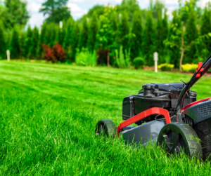 winter rye grass Fallas Landscape